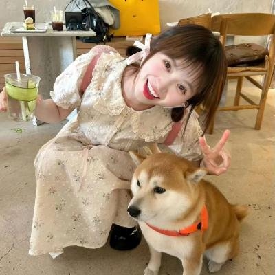 艾特熊和赛娜鼠
